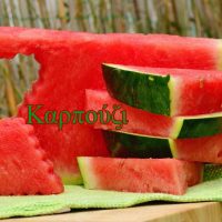 melon-1537284_1920(2)