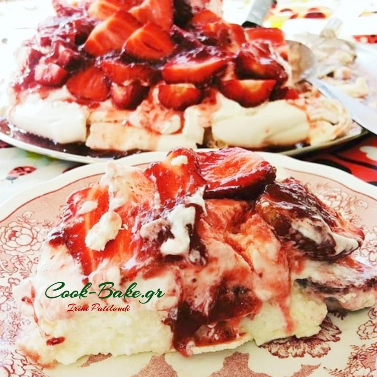 Καταγραφήpavlova(1)